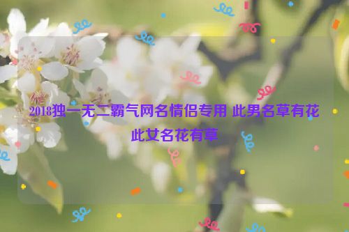 2018独一无二霸气网名情侣专用 此男名草有花此女名花有草