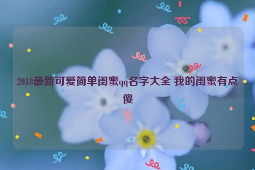 2018最新可爱简单闺蜜qq名字大全 我的闺蜜有点傻