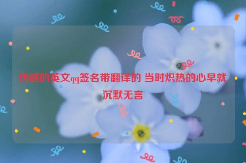 伤感的英文qq签名带翻译的 当时炽热的心早就沉默无言