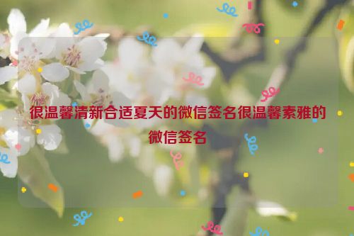 很温馨清新合适夏天的微信签名很温馨素雅的微信签名