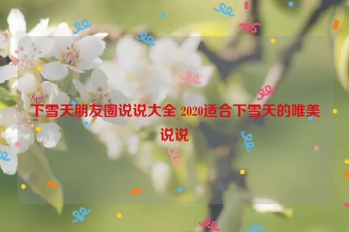 下雪天朋友圈说说大全 2020适合下雪天的唯美说说