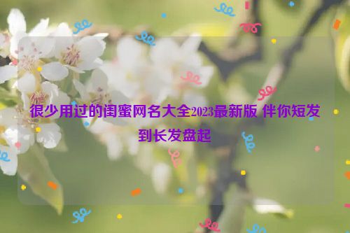 很少用过的闺蜜网名大全2023最新版 伴你短发到长发盘起