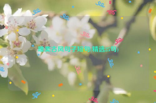 唯美古风句子短句(精选25句)