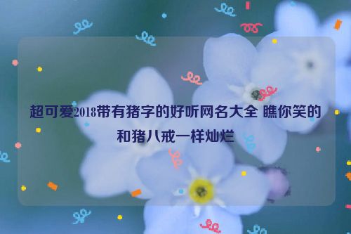 超可爱2018带有猪字的好听网名大全 瞧你笑的和猪八戒一样灿烂