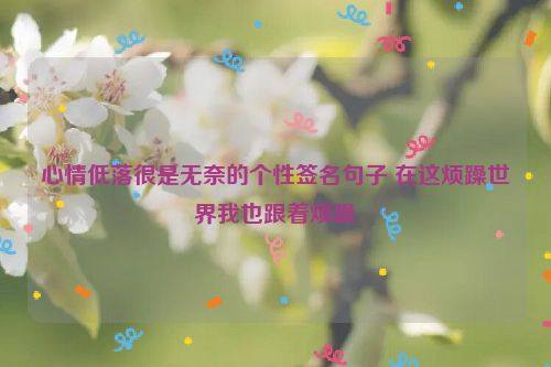 心情低落很是无奈的个性签名句子 在这烦躁世界我也跟着烦躁