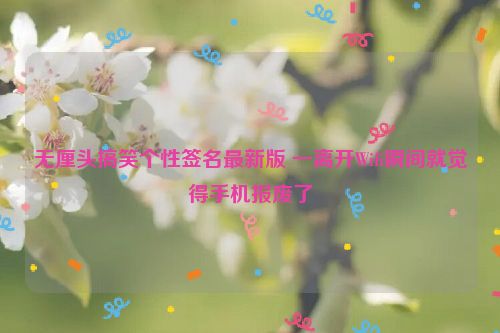 无厘头搞笑个性签名最新版 一离开Wifi瞬间就觉得手机报废了