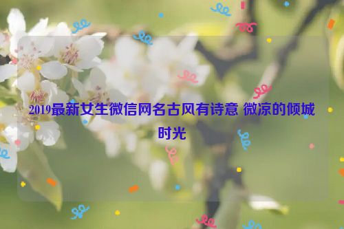 2019最新女生微信网名古风有诗意 微凉的倾城时光