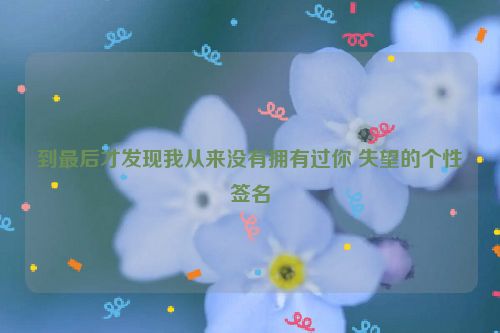 到最后才发现我从来没有拥有过你 失望的个性签名