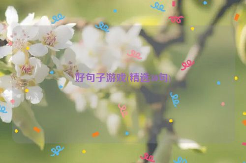 好句子游戏(精选30句)