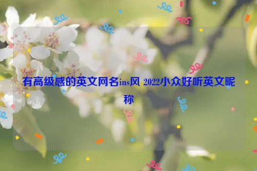 有高级感的英文网名ins风 2022小众好听英文昵称