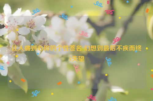 让人痛到心碎的个性签名 幻想到最后不疾而终�A失望