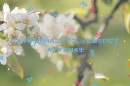 好听不易撞的网名二字女生2020 很温柔的女生两个字的网名集