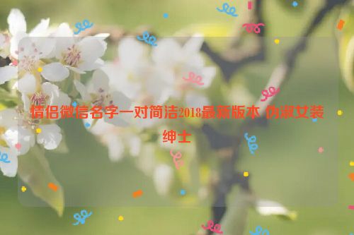 情侣微信名字一对简洁2018最新版本 伪淑女装绅士