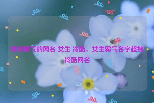 特别霸气的网名 女生 冷酷，女生霸气名字超拽冷酷网名