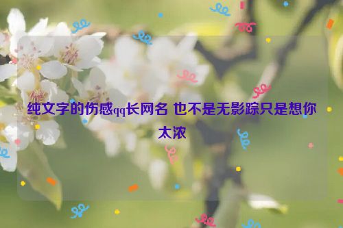 纯文字的伤感qq长网名 也不是无影踪只是想你太浓