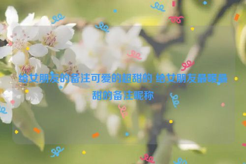 给女朋友的备注可爱的超甜的 给女朋友最暖最甜的备注昵称