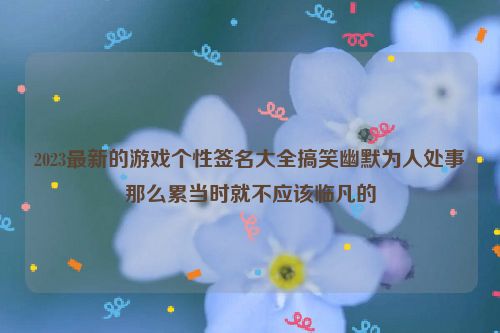 2023最新的游戏个性签名大全搞笑幽默为人处事那么累当时就不应该临凡的