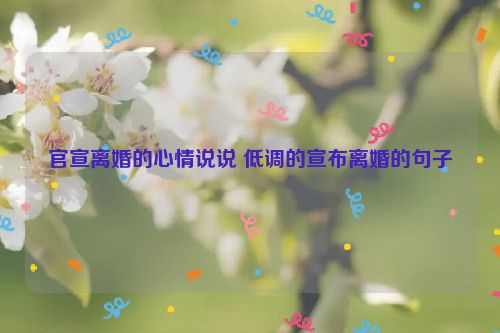 官宣离婚的心情说说 低调的宣布离婚的句子