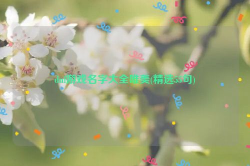 dnf游戏名字大全唯美(精选55句)