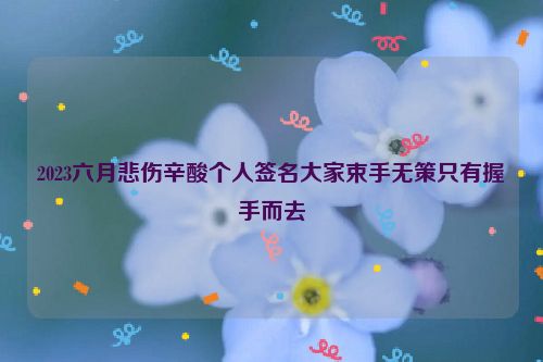 2023六月悲伤辛酸个人签名大家束手无策只有握手而去