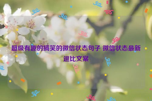 超级有趣的搞笑的微信状态句子 微信状态最新逗比文案