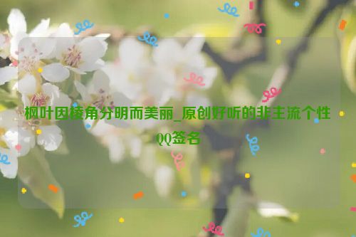 枫叶因棱角分明而美丽_原创好听的非主流个性QQ签名