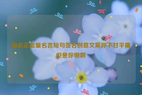 励志正能量名言短句签名创意文案你不甘平庸但是你懒啊