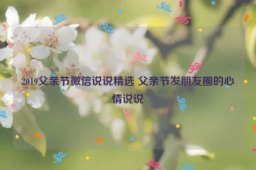 2019父亲节微信说说精选 父亲节发朋友圈的心情说说