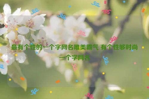 最有个性的一个字网名唯美霸气 有个性够时尚一个字网名