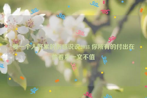 爱一个人好累的伤感说说2018 你所有的付出在他看来一文不值