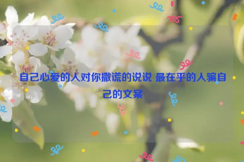 自己心爱的人对你撒谎的说说 最在乎的人骗自己的文案