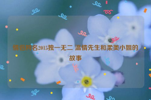 情侣网名2015独一无二 温情先生和柔美小姐的故事