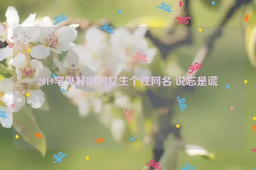 2019罕见好听的女生个性网名 说忘是谎