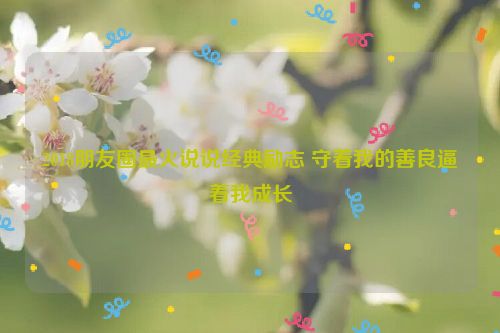 2018朋友圈最火说说经典励志 守着我的善良逼着我成长