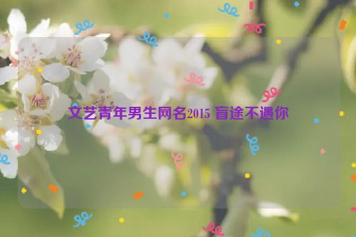 文艺青年男生网名2015 盲途不遇你