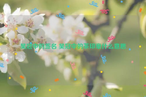 吴冠中的签名 吴冠中的茶印章什么意思