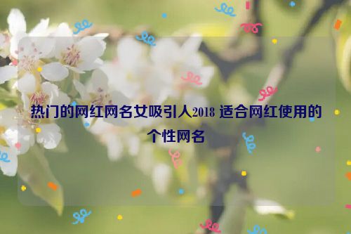 热门的网红网名女吸引人2018 适合网红使用的个性网名