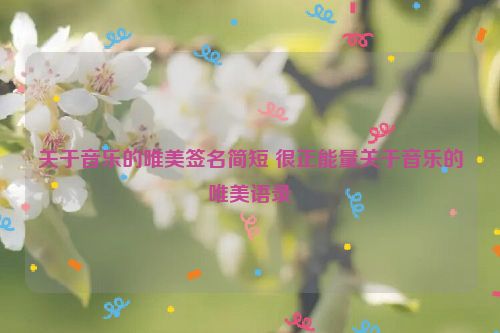 关于音乐的唯美签名简短 很正能量关于音乐的唯美语录