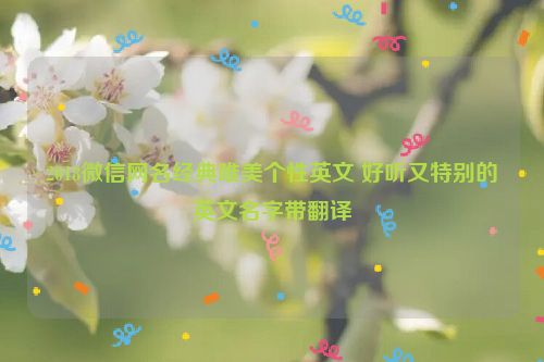 2018微信网名经典唯美个性英文 好听又特别的英文名字带翻译