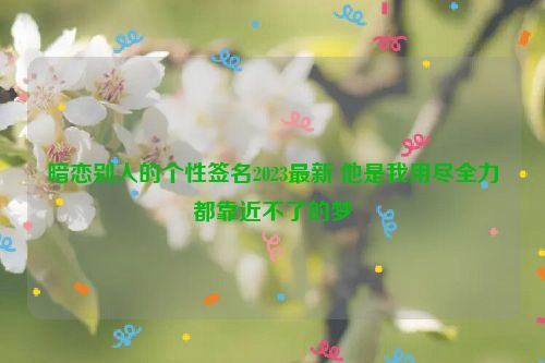 暗恋别人的个性签名2023最新 他是我用尽全力都靠近不了的梦