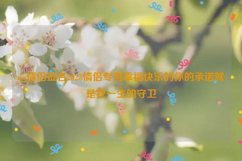 qq情侣签名2023情侣专用幸福快乐的你的承诺就是我一生的守卫