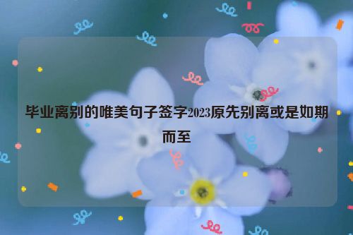 毕业离别的唯美句子签字2023原先别离或是如期而至