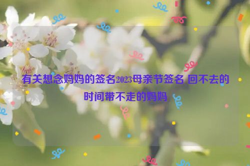 有关想念妈妈的签名2023母亲节签名 回不去的时间带不走的妈妈