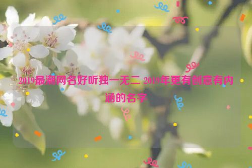 2019最潮网名好听独一无二 2019年更有创意有内涵的名字