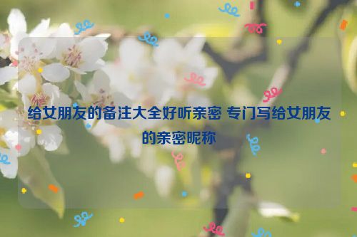 给女朋友的备注大全好听亲密 专门写给女朋友的亲密昵称