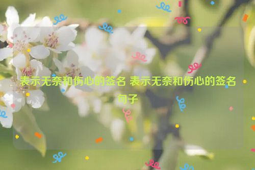 表示无奈和伤心的签名 表示无奈和伤心的签名句子