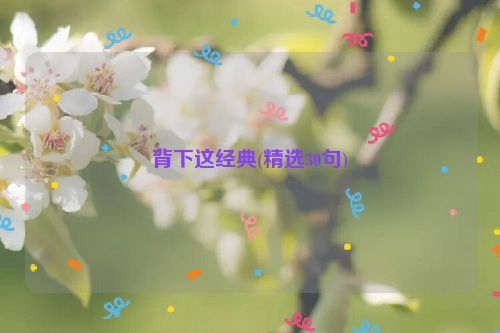 背下这经典(精选30句)