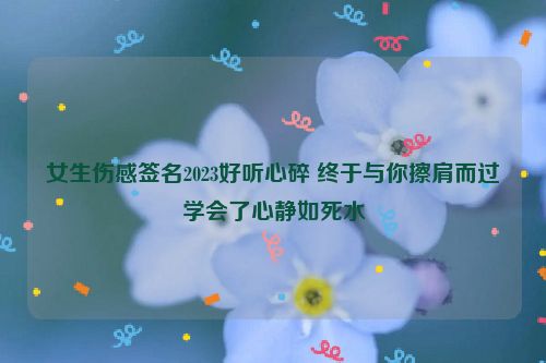 女生伤感签名2023好听心碎 终于与你擦肩而过学会了心静如死水