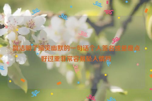 简洁明了搞笑幽默的一句话个人签名或是瘦点好过重非常容易坠入情网