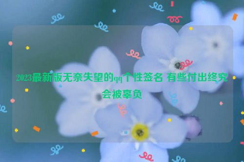 2023最新版无奈失望的qq个性签名 有些付出终究会被辜负